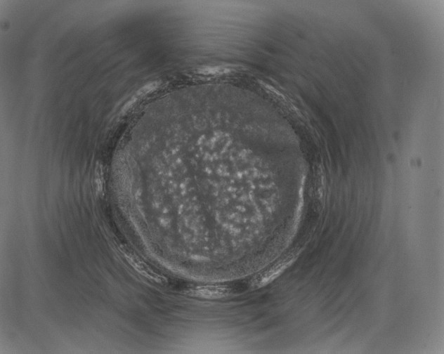 X0000084530758200703091628