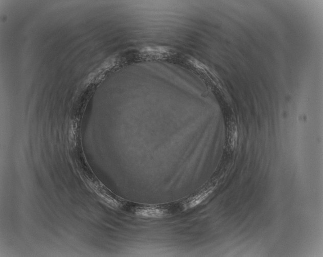 X0000084530759200703091628