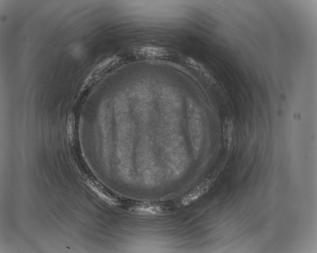 X0000084530760200703091628