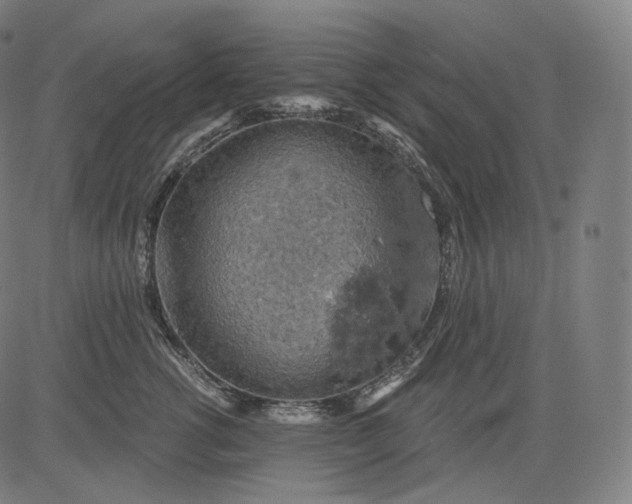 X0000084530762200703091628