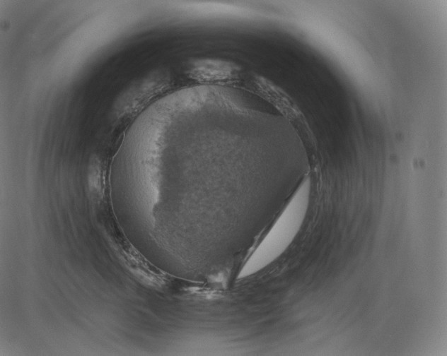 X0000084530763200703091628