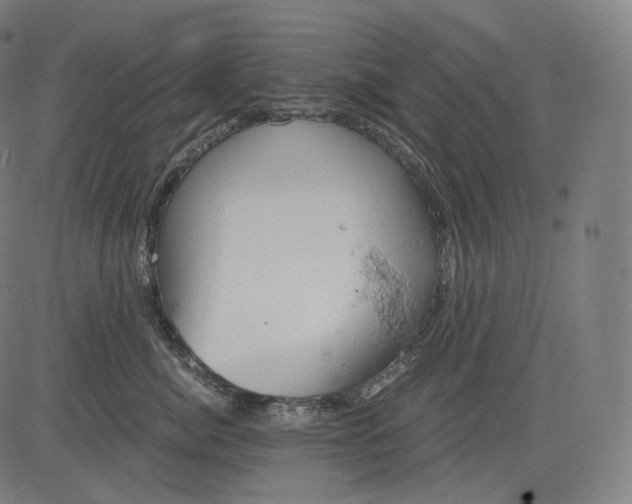 X0000084530764200703091628