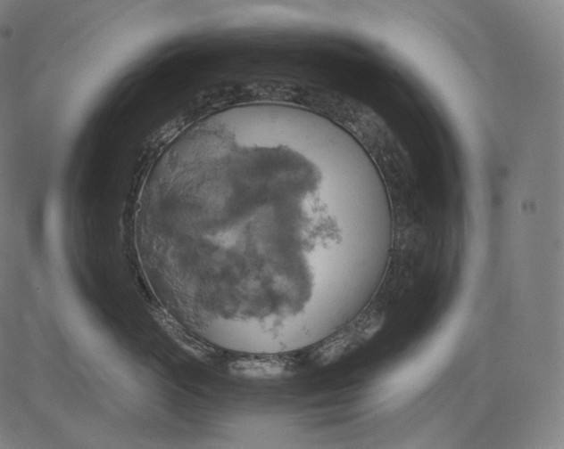 X0000084530765200703091628