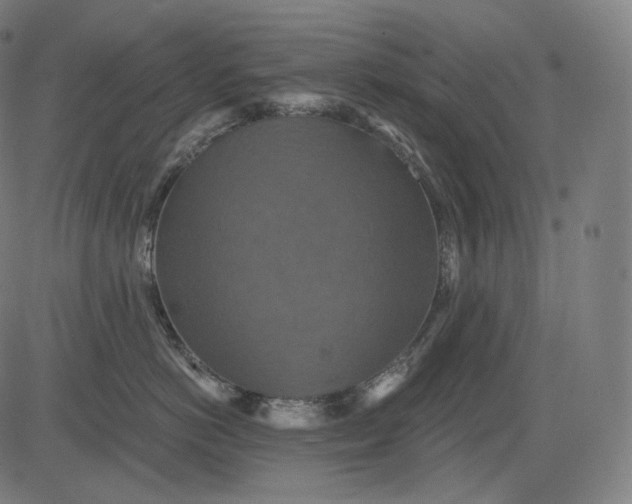 X0000084530766200703091628