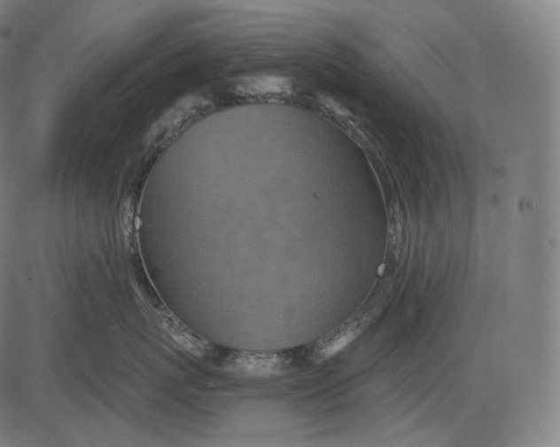 X0000084530767200703091628