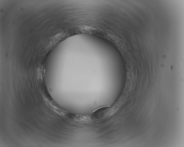 X0000084530768200703091628