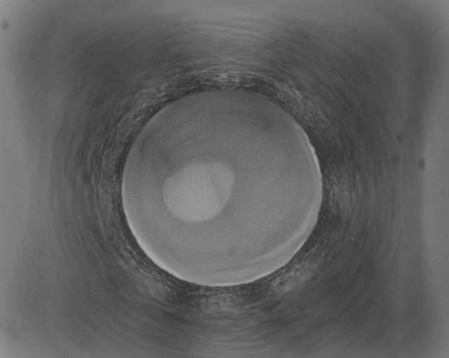 X0000084530769200703091627