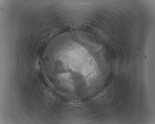 X0000084530770200703091627