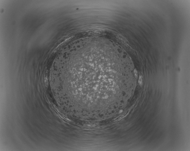 X0000084530771200703091627