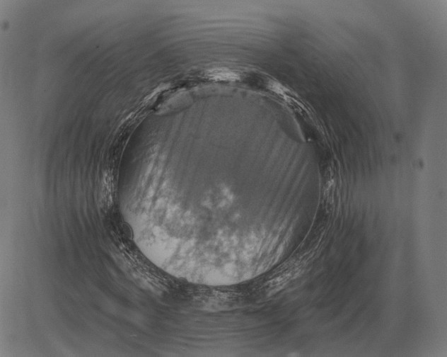 X0000084530772200703091627