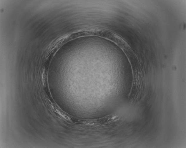 X0000084530773200703091627