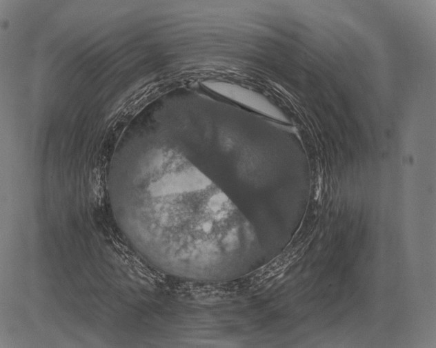 X0000084530774200703091627