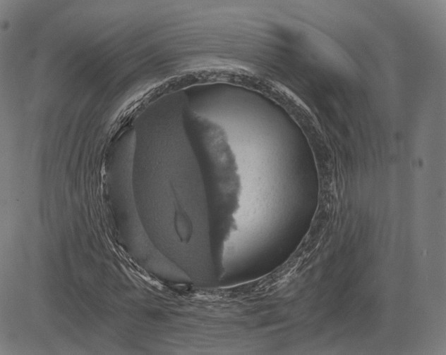 X0000084530775200703091627