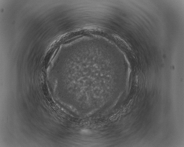 X0000084530776200703091627