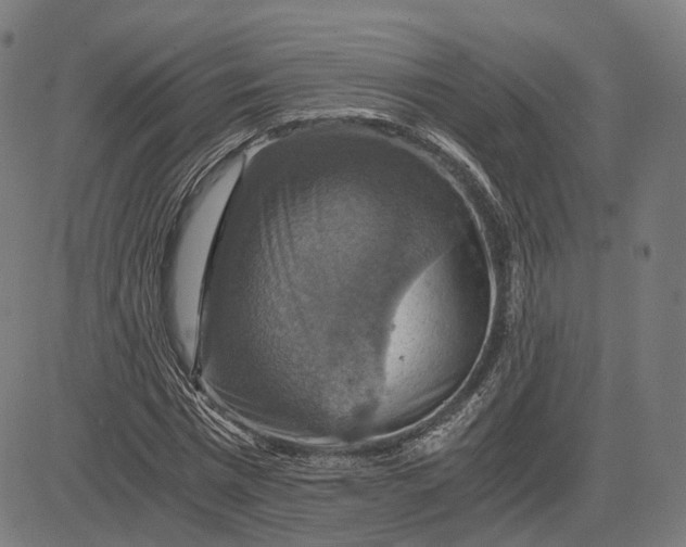 X0000084530777200703091627