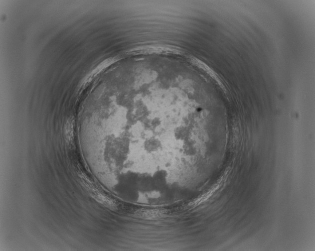 X0000084530778200703091627