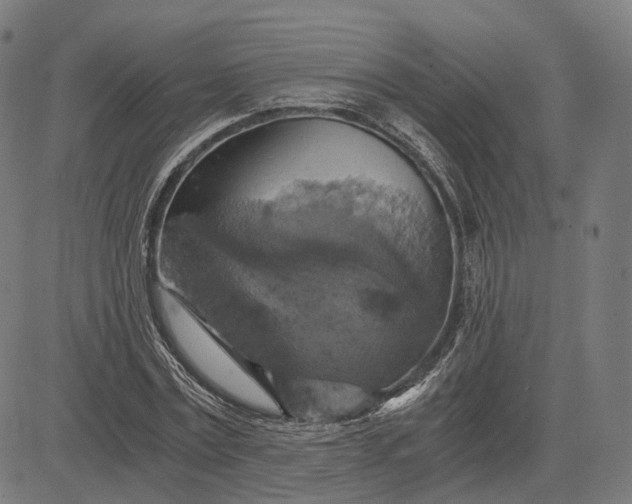 X0000084530779200703091627