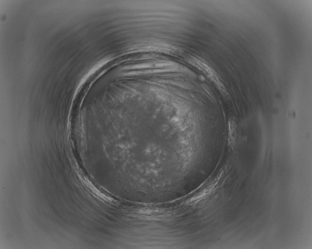 X0000084530780200703091627