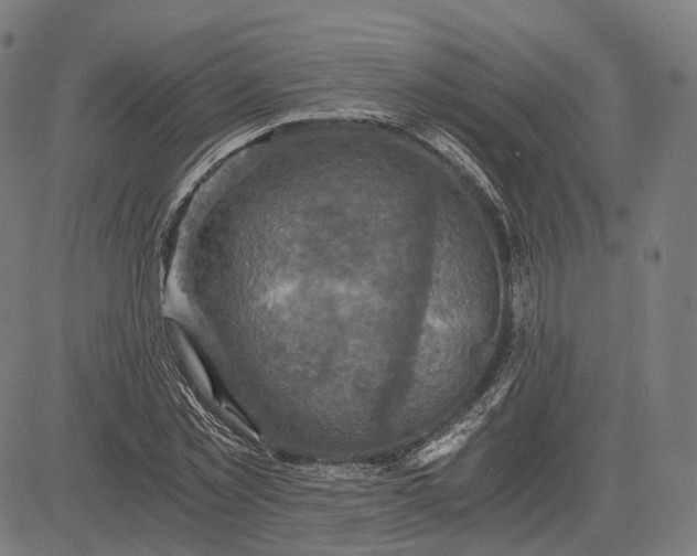 X0000084530781200703091627