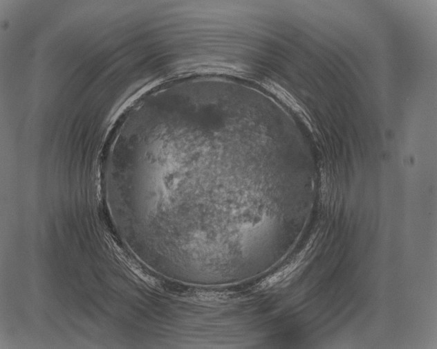 X0000084530782200703091627