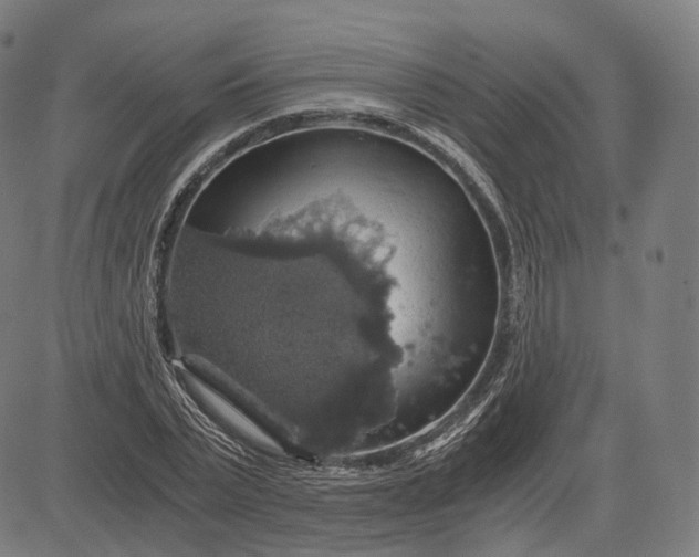 X0000084530783200703091627