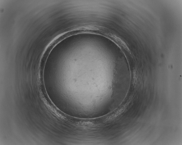 X0000084530784200703091627