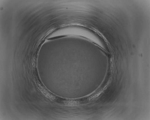 X0000084530785200703091627