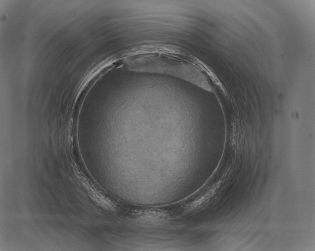 X0000084530786200703091627