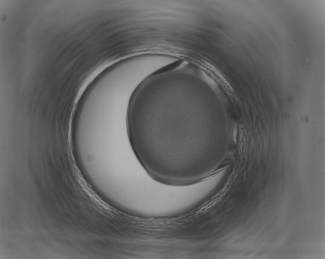 X0000084530788200703091627