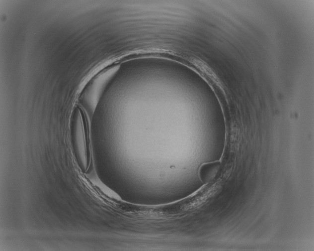 X0000084530789200703091627