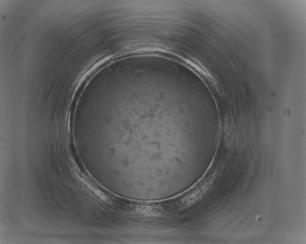 X0000084530790200703091627