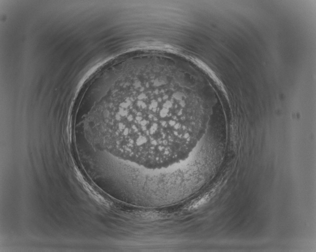 X0000084530791200703091627