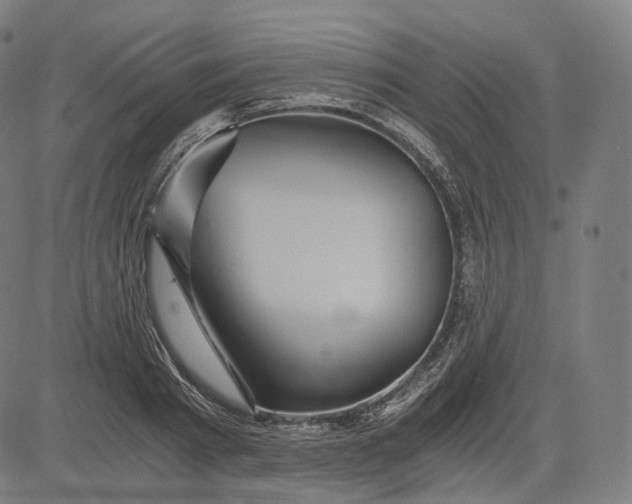 X0000084530793200703091627