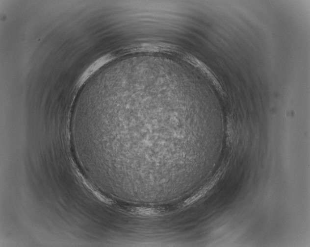 X0000084530794200703091627