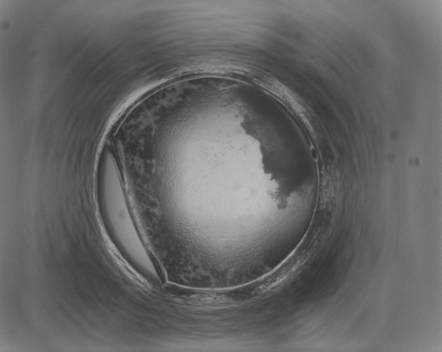 X0000084530795200703091627