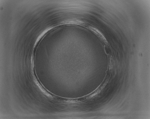 X0000084530796200703091626