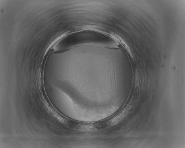 X0000084530798200703091626