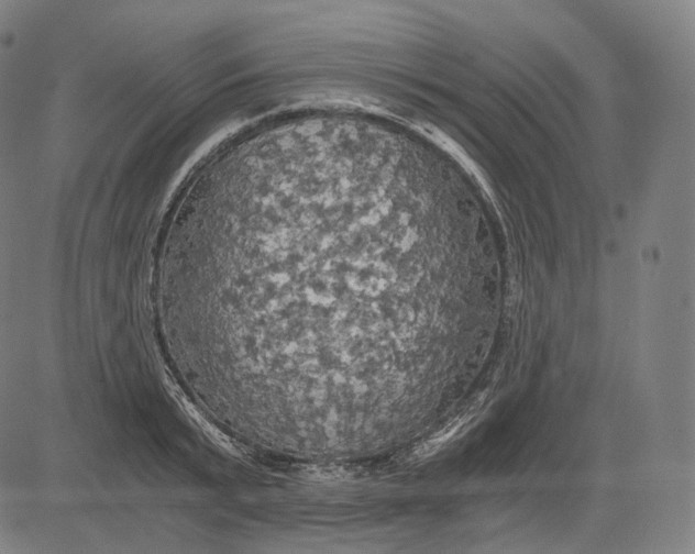 X0000084530799200703091626