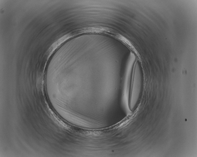 X0000084530802200703091626