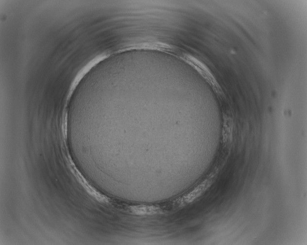 X0000084530804200703091626