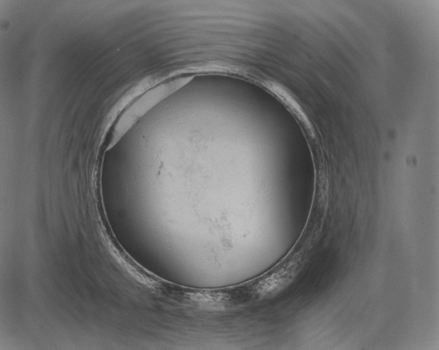 X0000084530805200703091626