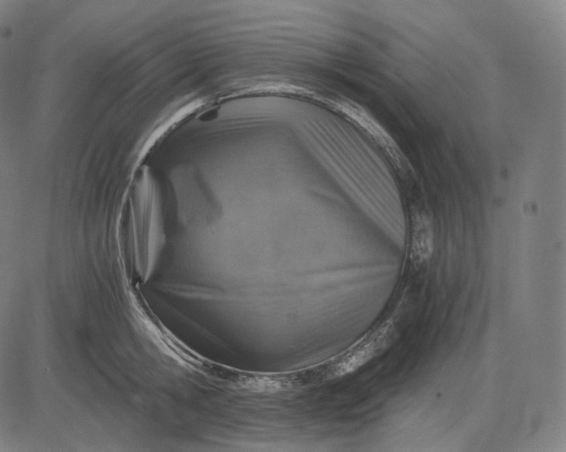 X0000084530806200703091626