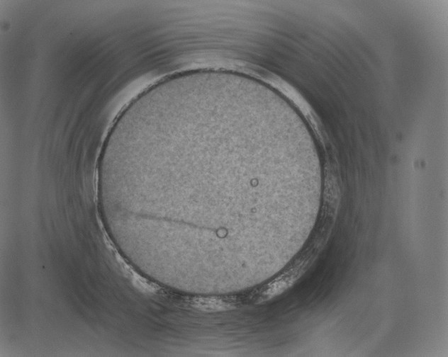 X0000084530807200703091626