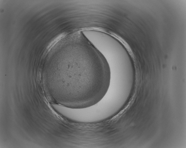 X0000084530809200703091626