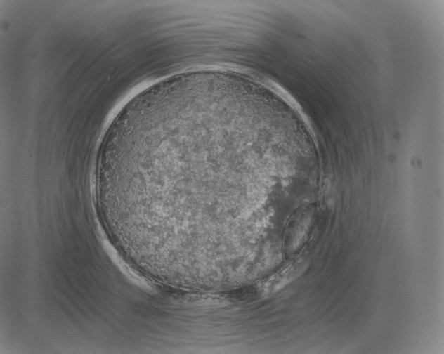 X0000084530811200703091626