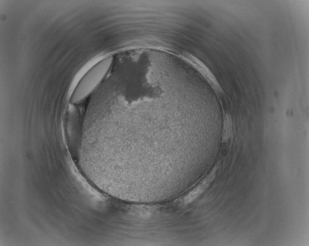 X0000084530812200703091626