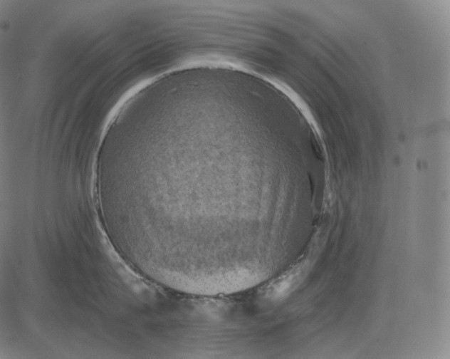 X0000084530815200703091626