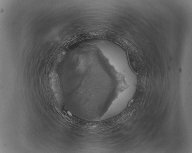 X0000084530817200703091625