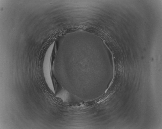 X0000084530818200703091625