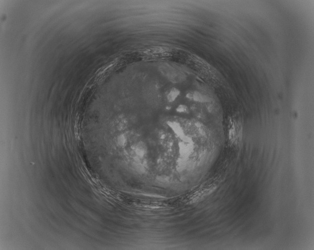 X0000084530819200703091625